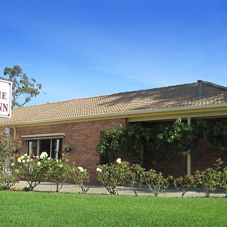 Nagambie Motor Inn And Conference Centre Værelse billede